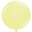 Ballon 24