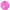 1 Ballon Latex 3' Vive les Mariés Fleurs Fuchsia - PMS
